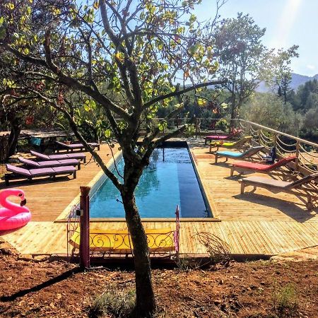 Dépend Atypiq Bohème,piscine chauffée toute l'année, jacuzzi,sauna,loisirs nature Le Beausset Esterno foto