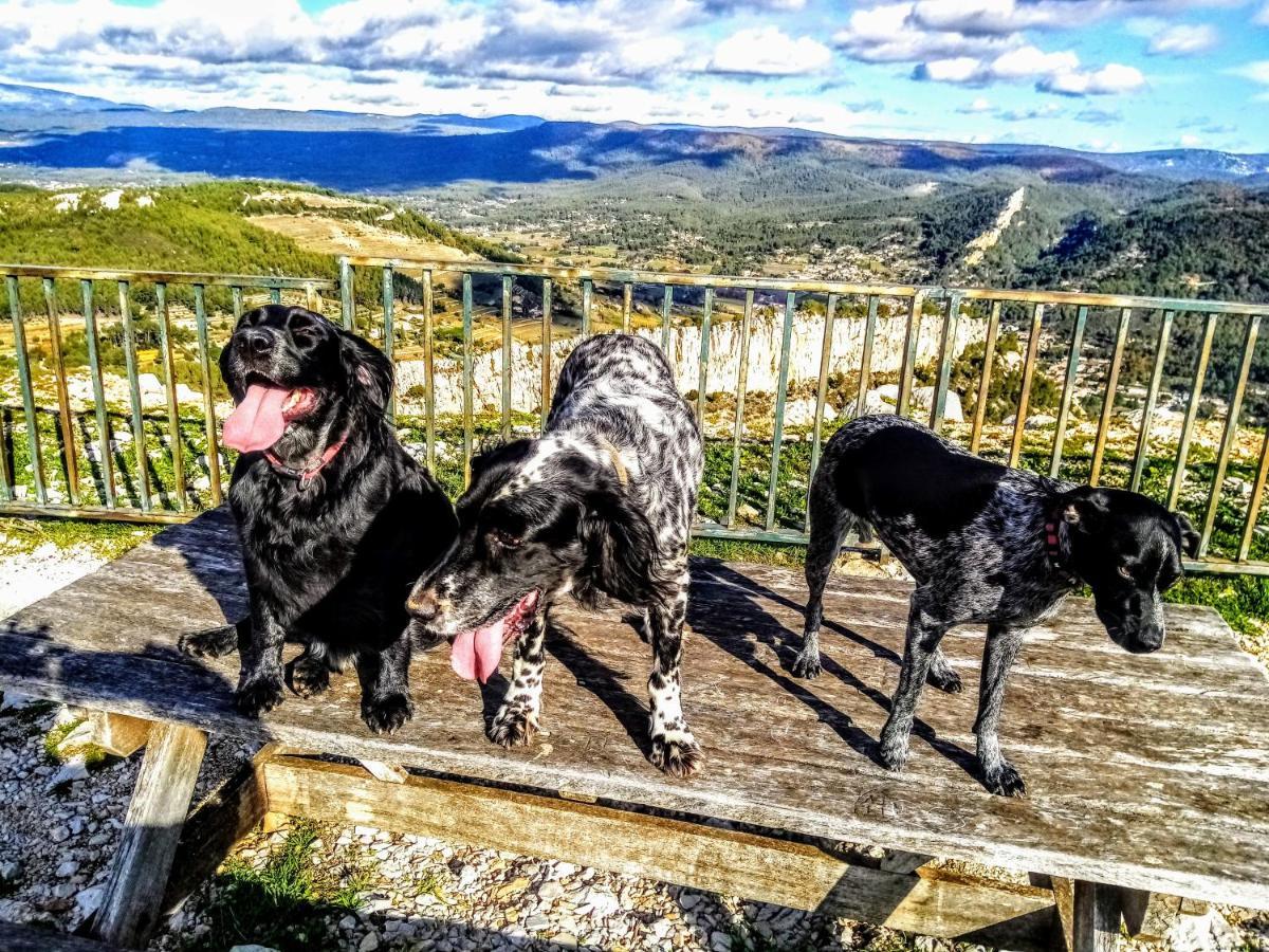 Dépend Atypiq Bohème,piscine chauffée toute l'année, jacuzzi,sauna,loisirs nature Le Beausset Esterno foto