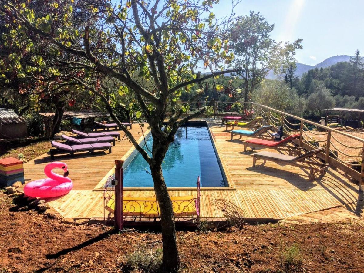 Dépend Atypiq Bohème,piscine chauffée toute l'année, jacuzzi,sauna,loisirs nature Le Beausset Esterno foto