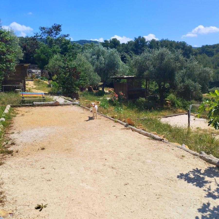 Dépend Atypiq Bohème,piscine chauffée toute l'année, jacuzzi,sauna,loisirs nature Le Beausset Esterno foto